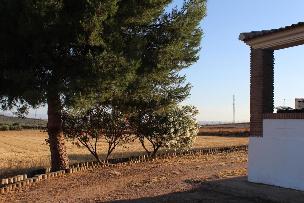 Casa Rural La Rosa De Los Vientos Fuente de Piedra Ngoại thất bức ảnh